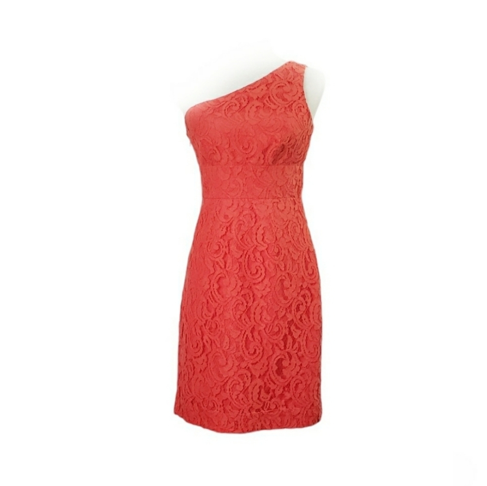 COPY - NWT J. Crew Alexa Dress in Leavers Lace - Picture 2 of 13